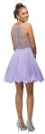 Sparkling Jewels Bodice Short Homecoming Party Dress back